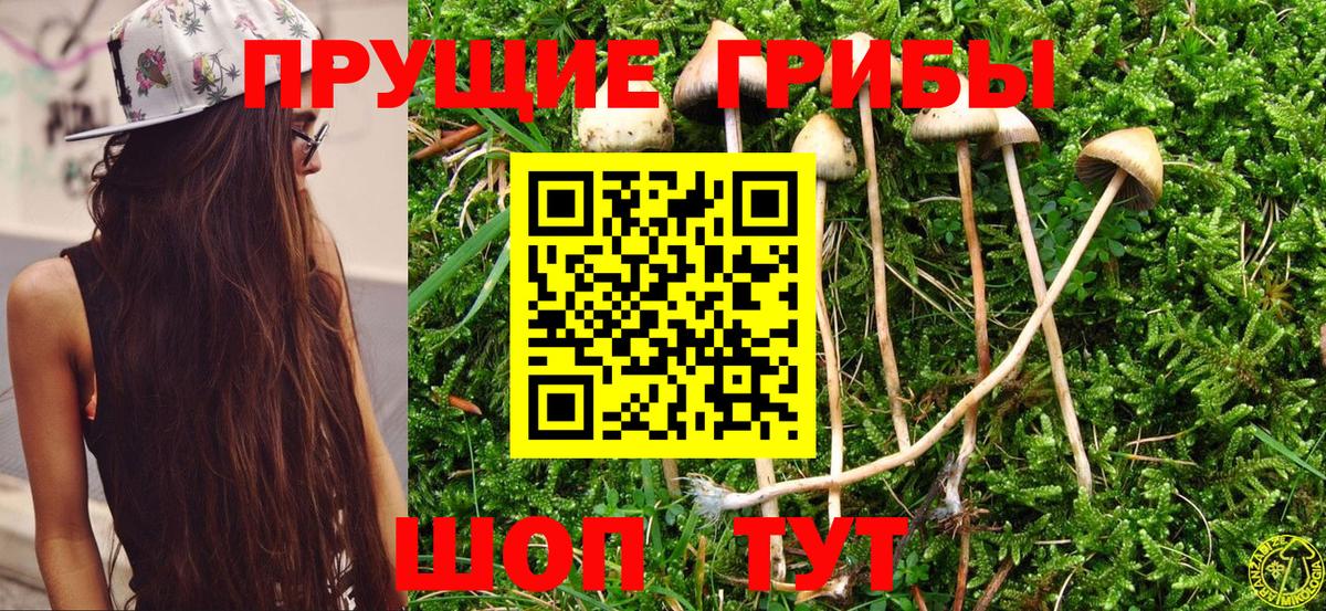 Рубцовск  Галлюциногенные грибы Magic Shrooms  Вход с VPN 